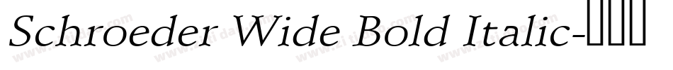 Schroeder Wide Bold Italic字体转换